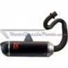 Escape Turbokit BUGUI XT1100 NINJA (parte final en carbono) Q4T051-H2