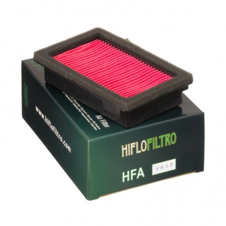 Filtro de Aire Hiflofiltro HFA4613