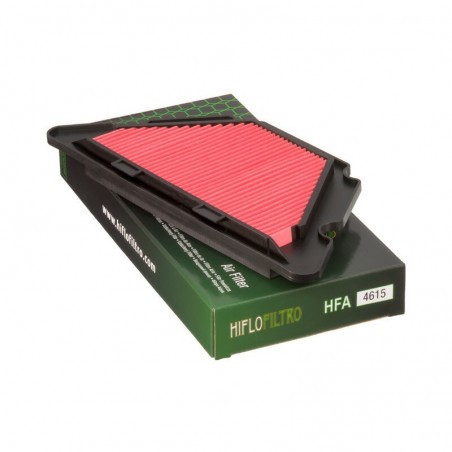 Filtro de Aire Hiflofiltro HFA4615